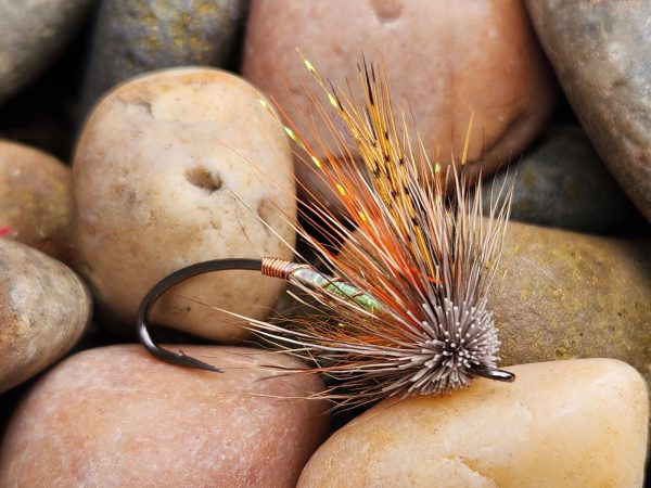 Pumpkin Spice Caddis Muddler